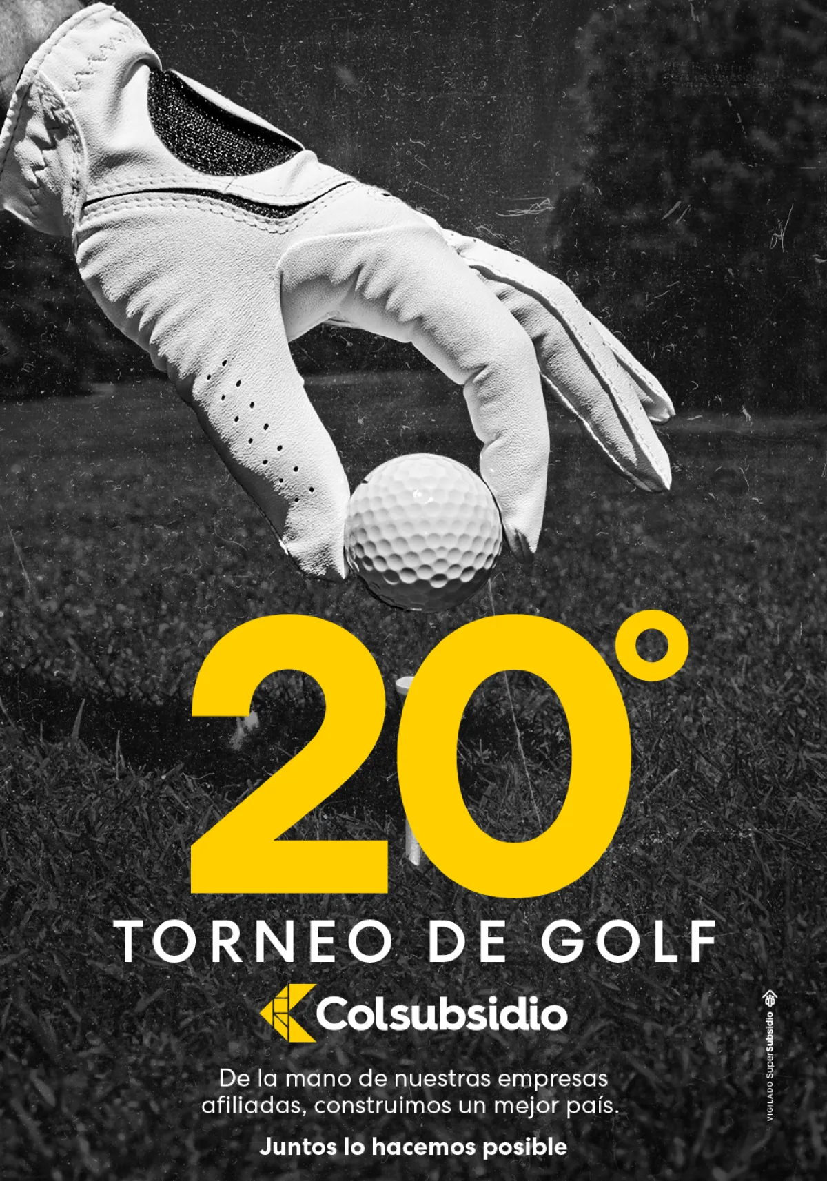 Diseñador Gráfico 