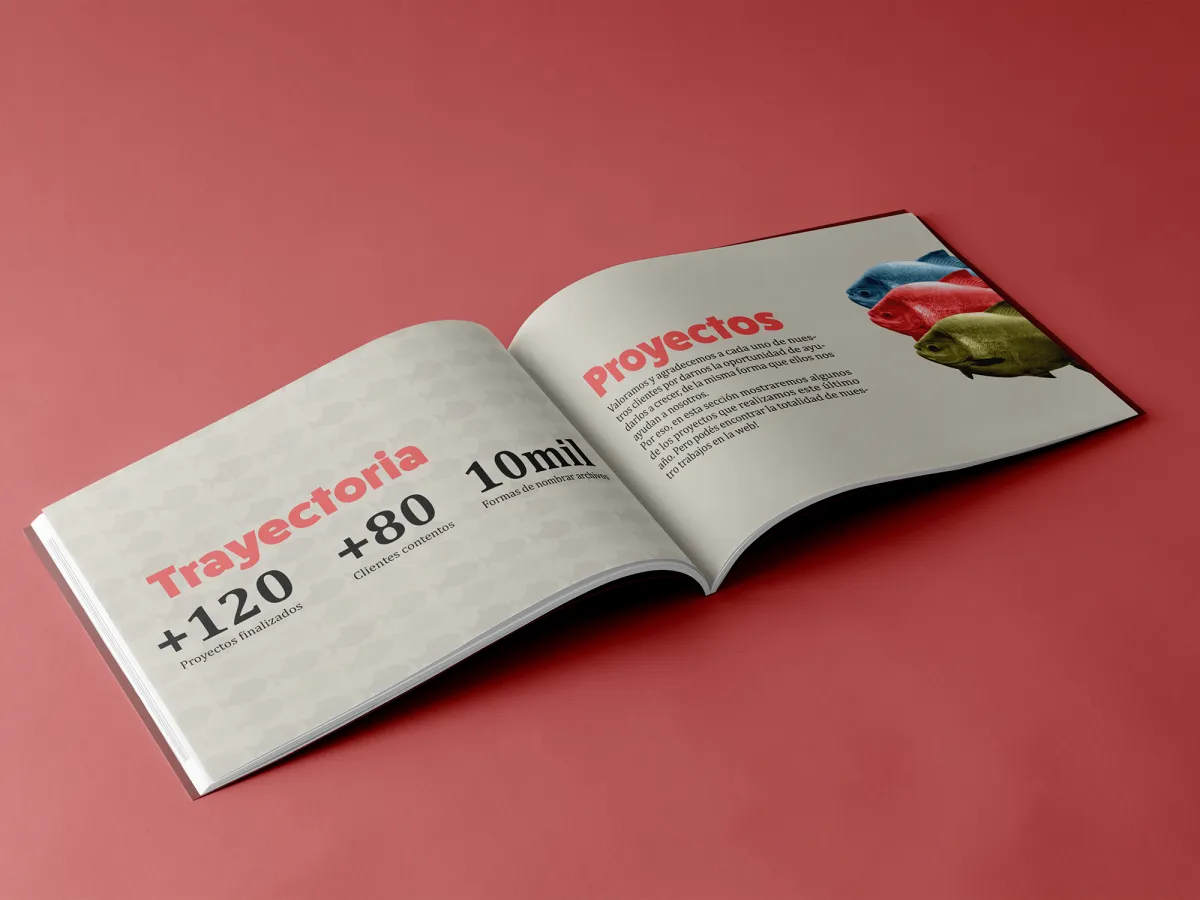 Diseño Editorial | Catálogos | Presentaciones 