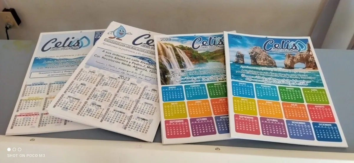 DIseñador Gráfico con experiencia en imprentas.