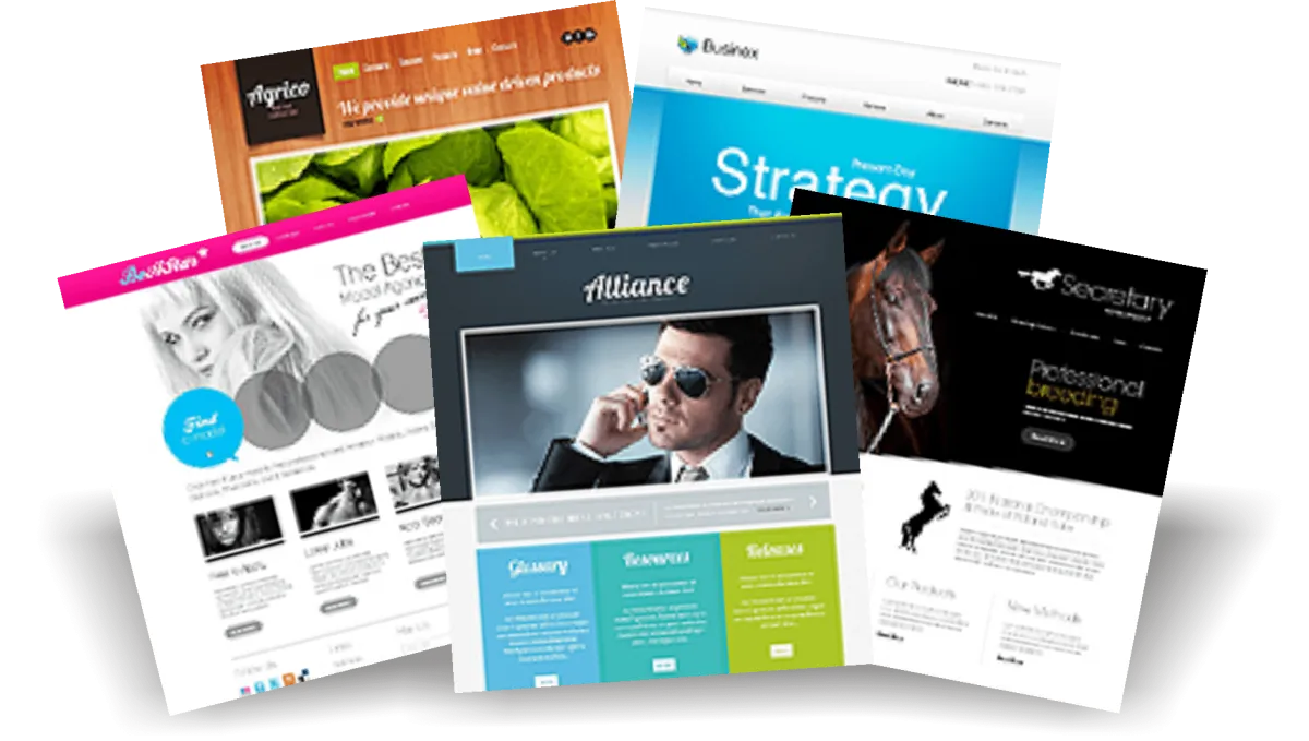 Gestión web