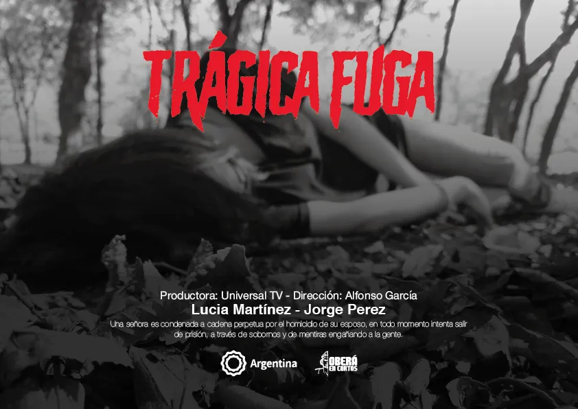 Diseño de Flyer