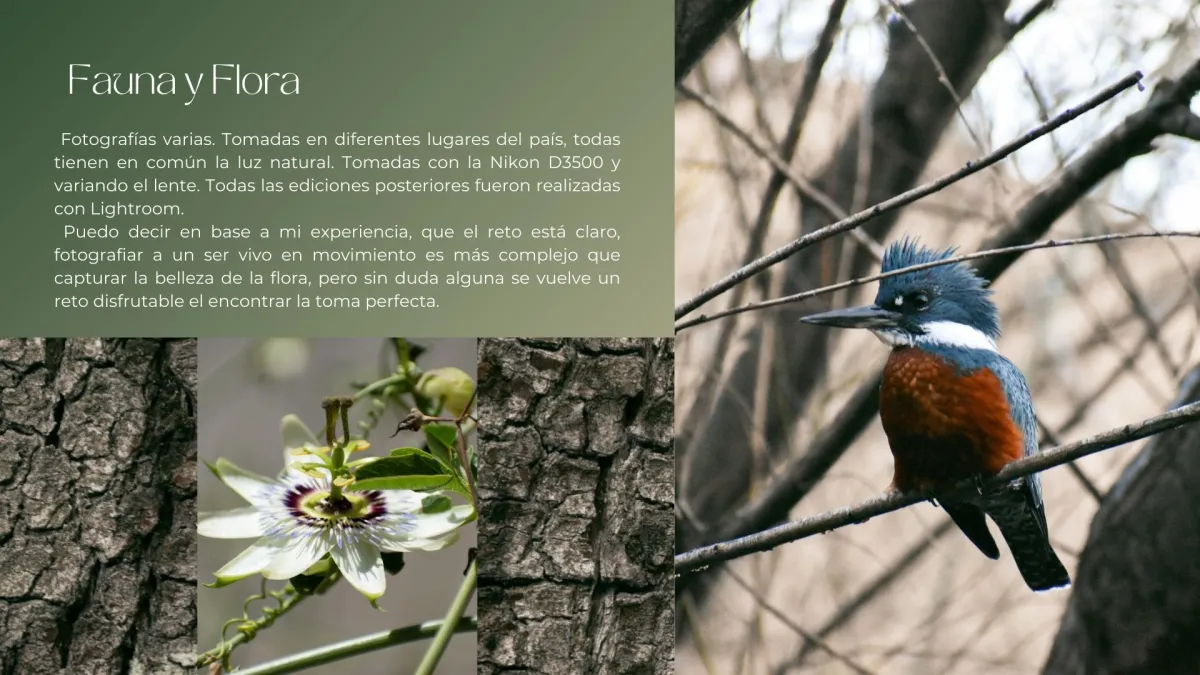 Fotografía digital profesional, retoque de imagenes. Con especial enfoque en rrss.