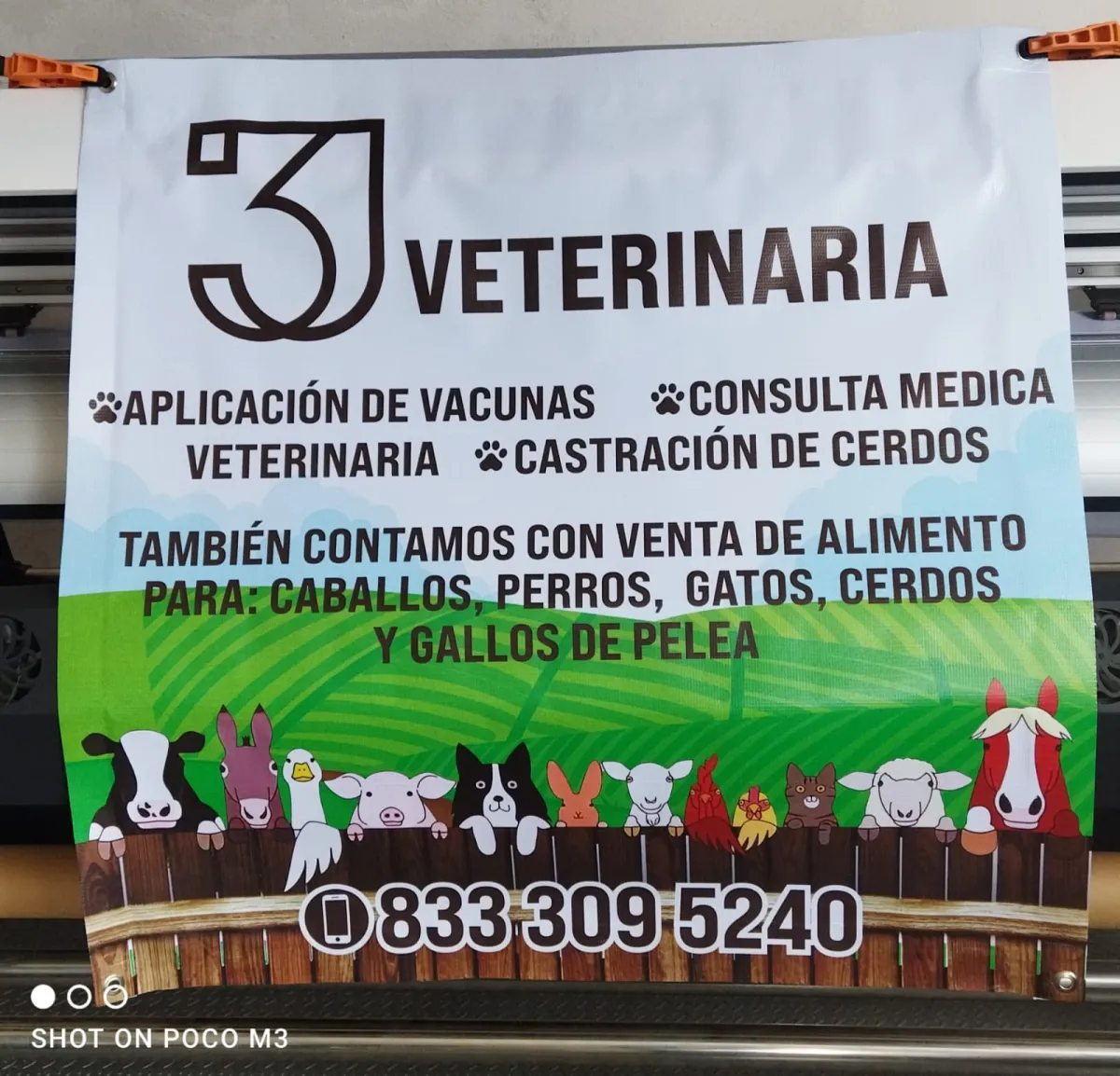 DIseñador Gráfico con experiencia en imprentas.