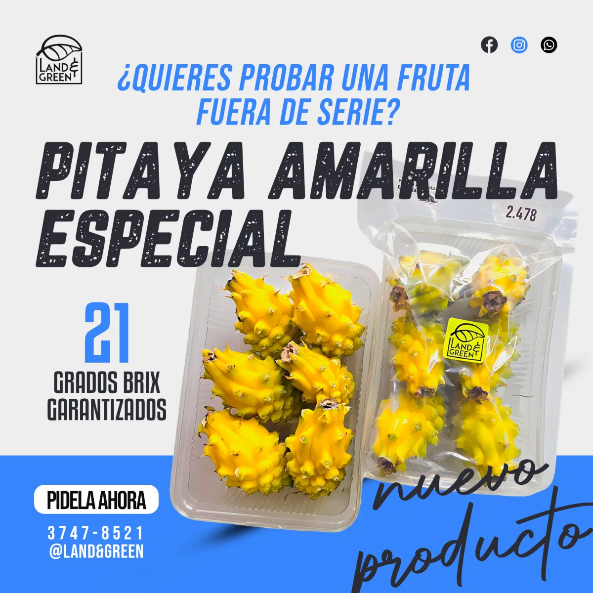 DISEÑO DE CONTENIDO PARA REDES SOCIALES