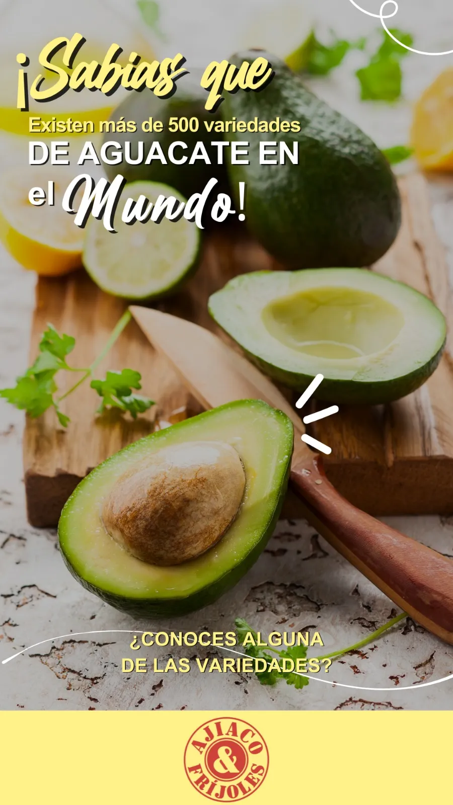 Community manager, marketing digital y diseño gráfico 