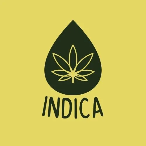 Community Manager