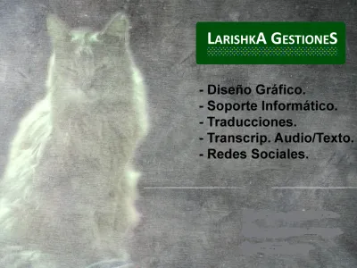 Soporte Informático Remoto