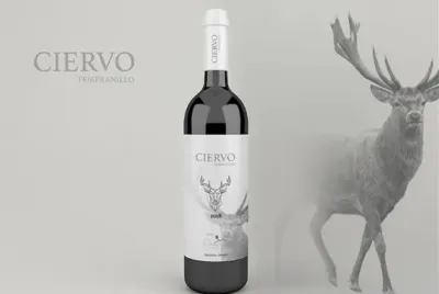 Branding 
