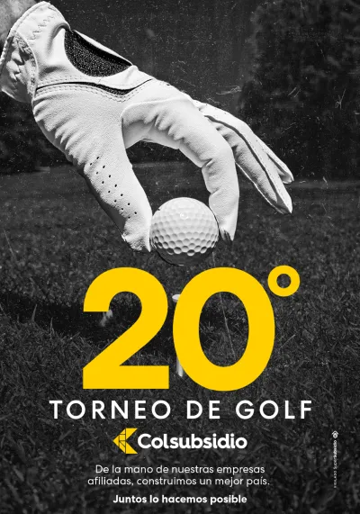 Diseñador Gráfico 