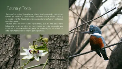 Fotografía digital profesional, retoque de imagenes. Con especial enfoque en rrss.