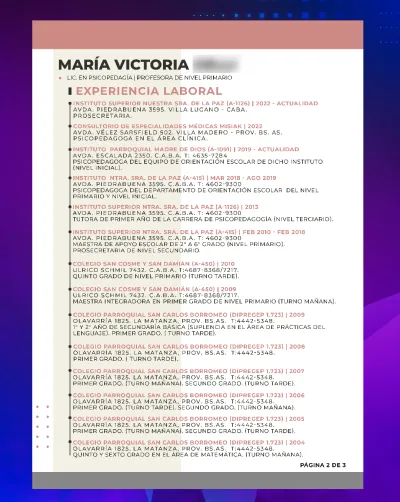 CV profesional - Curriculum vitae