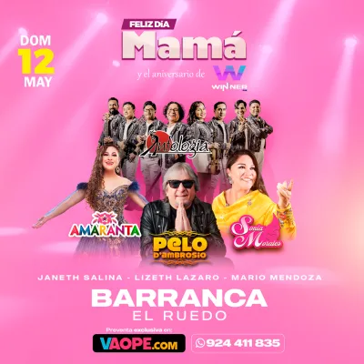 Realizo flyers para eventos grandes, conciertos