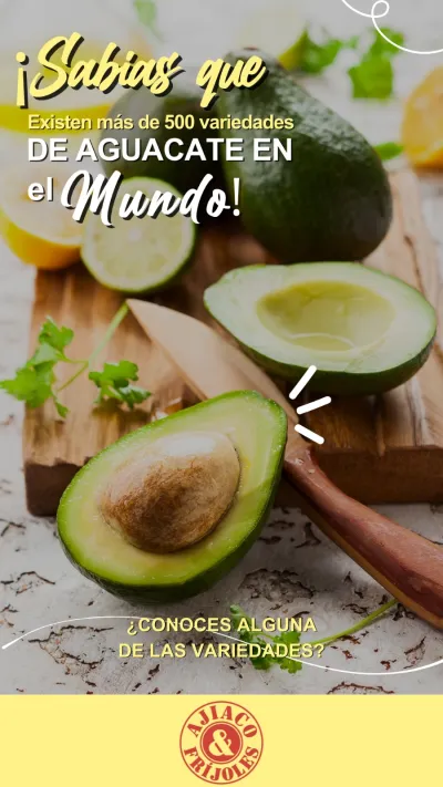 Community manager, marketing digital y diseño gráfico 