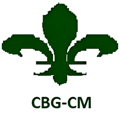 Manejo de redes sociales para PYMES